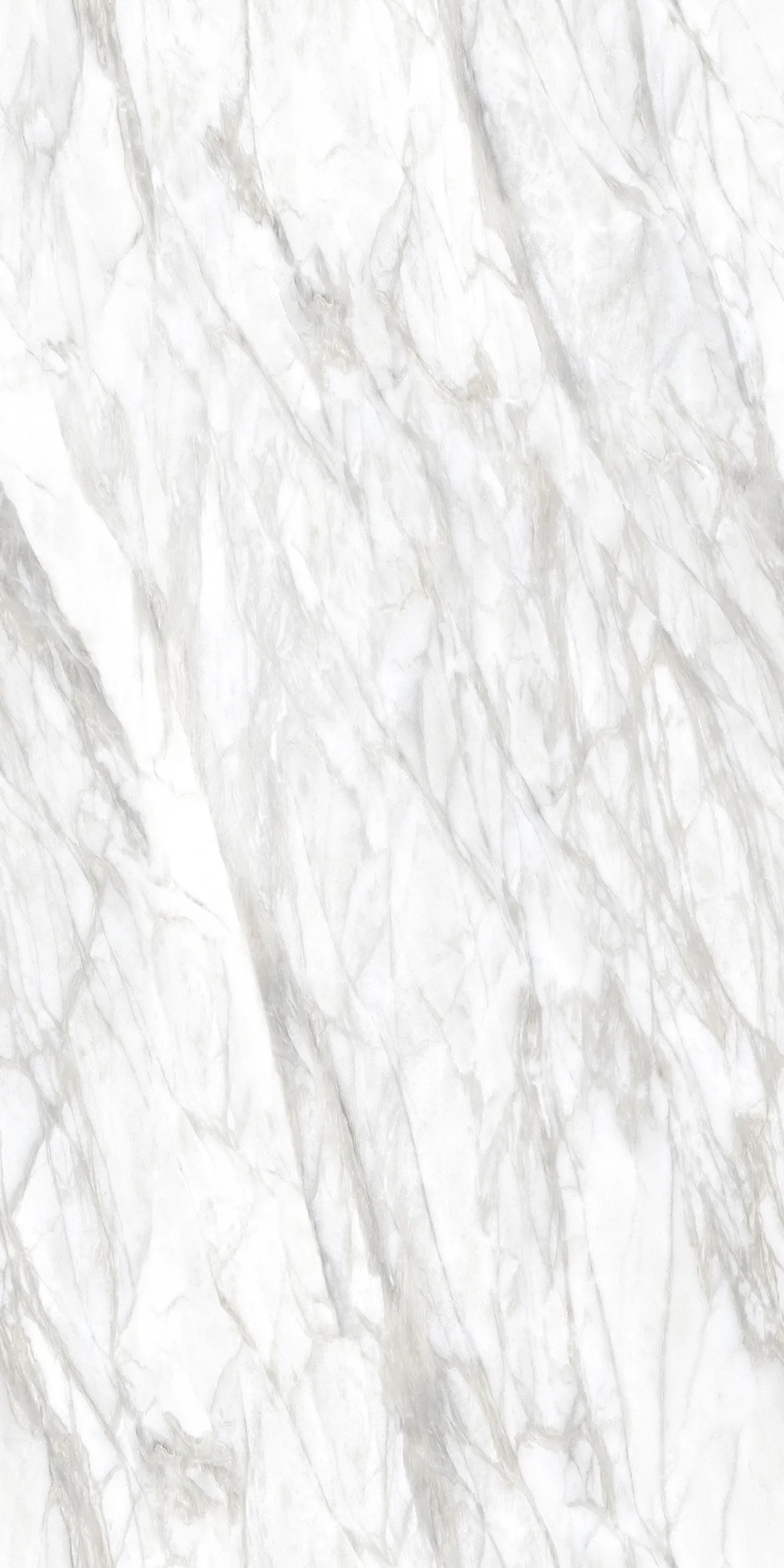 LUCATERRA WHITE