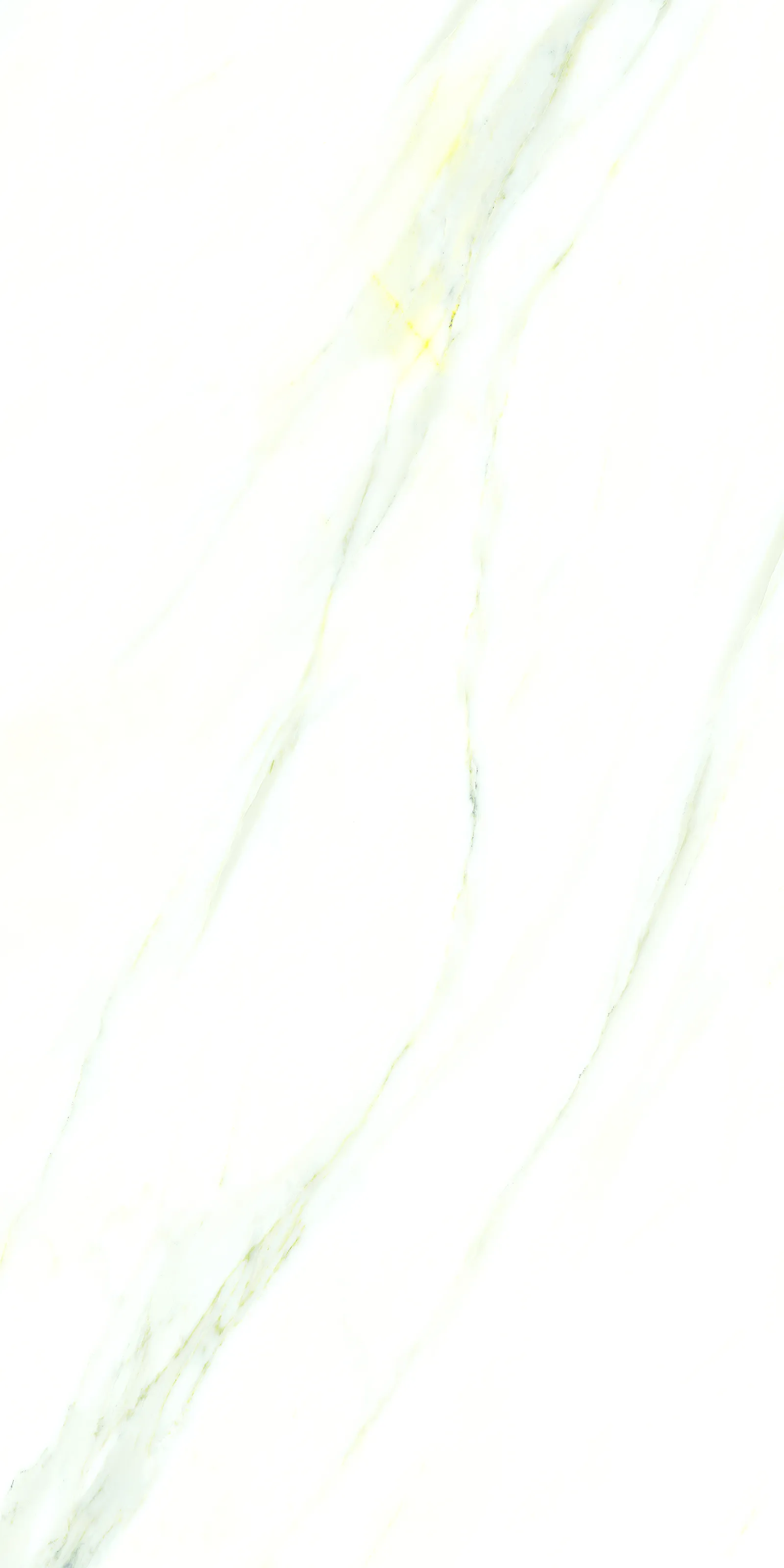 PALIDO WHITE