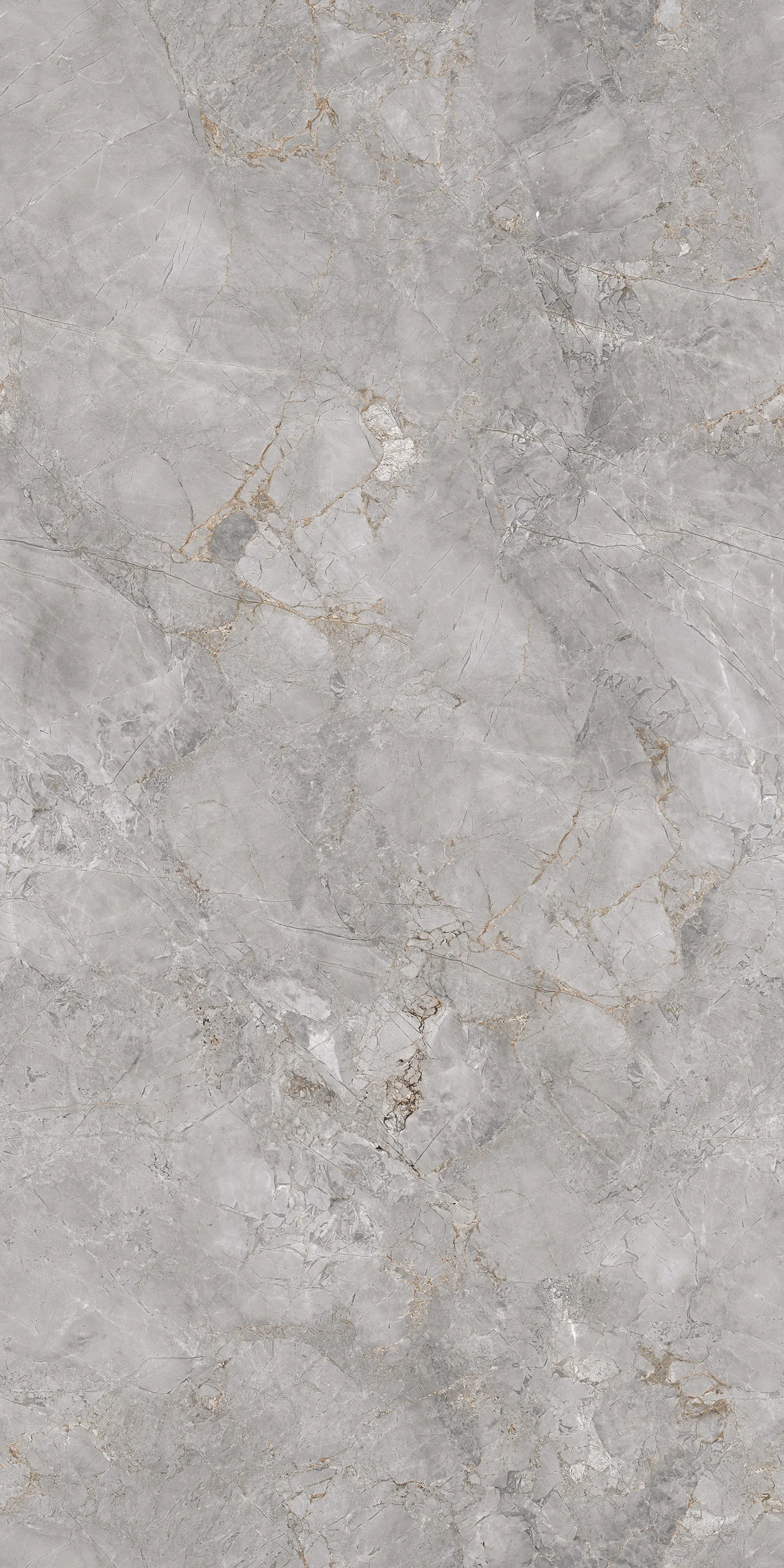 FOSSIL LIGHT GREY EVO