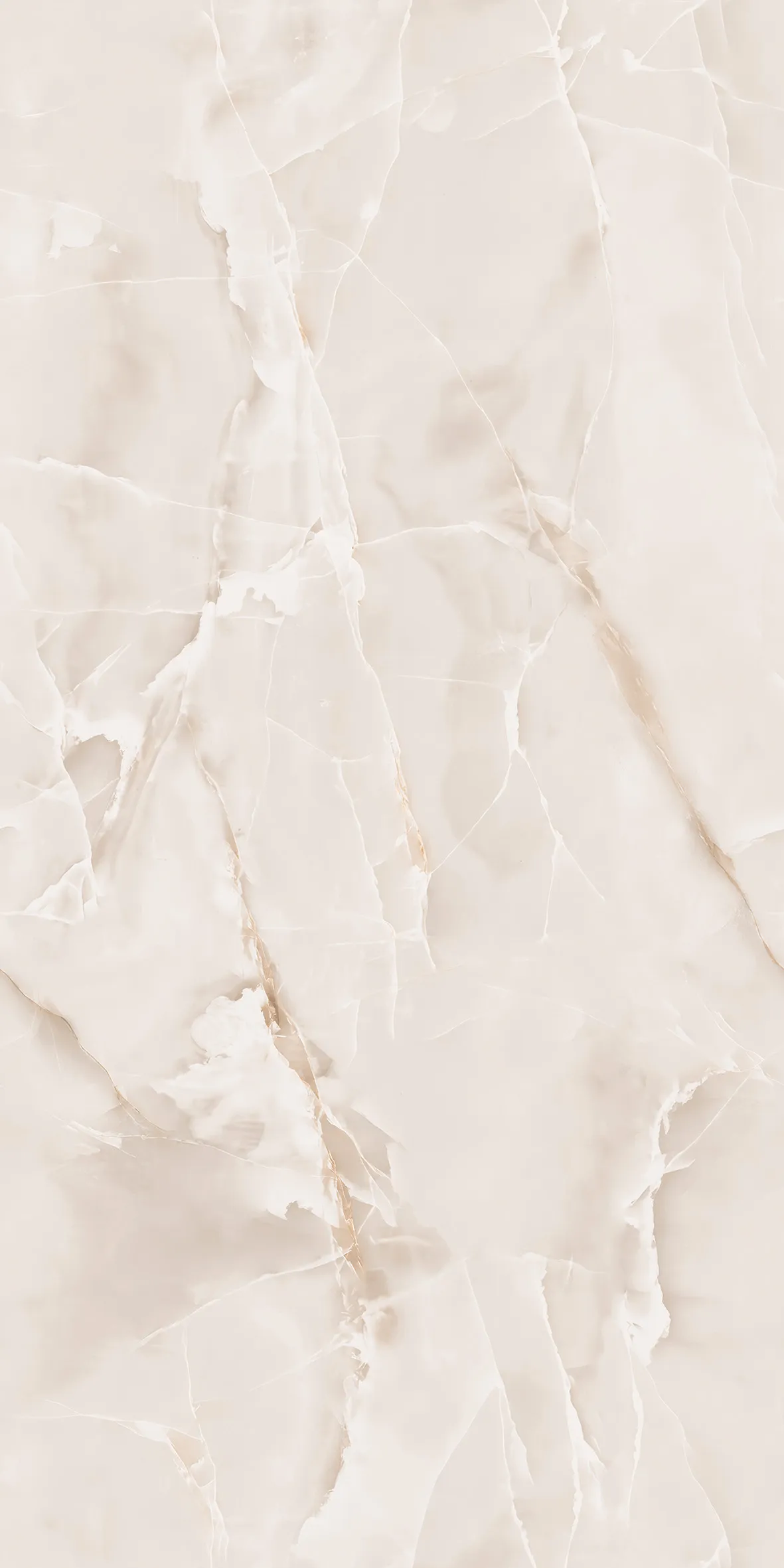 DORATA  ONYX ROSE