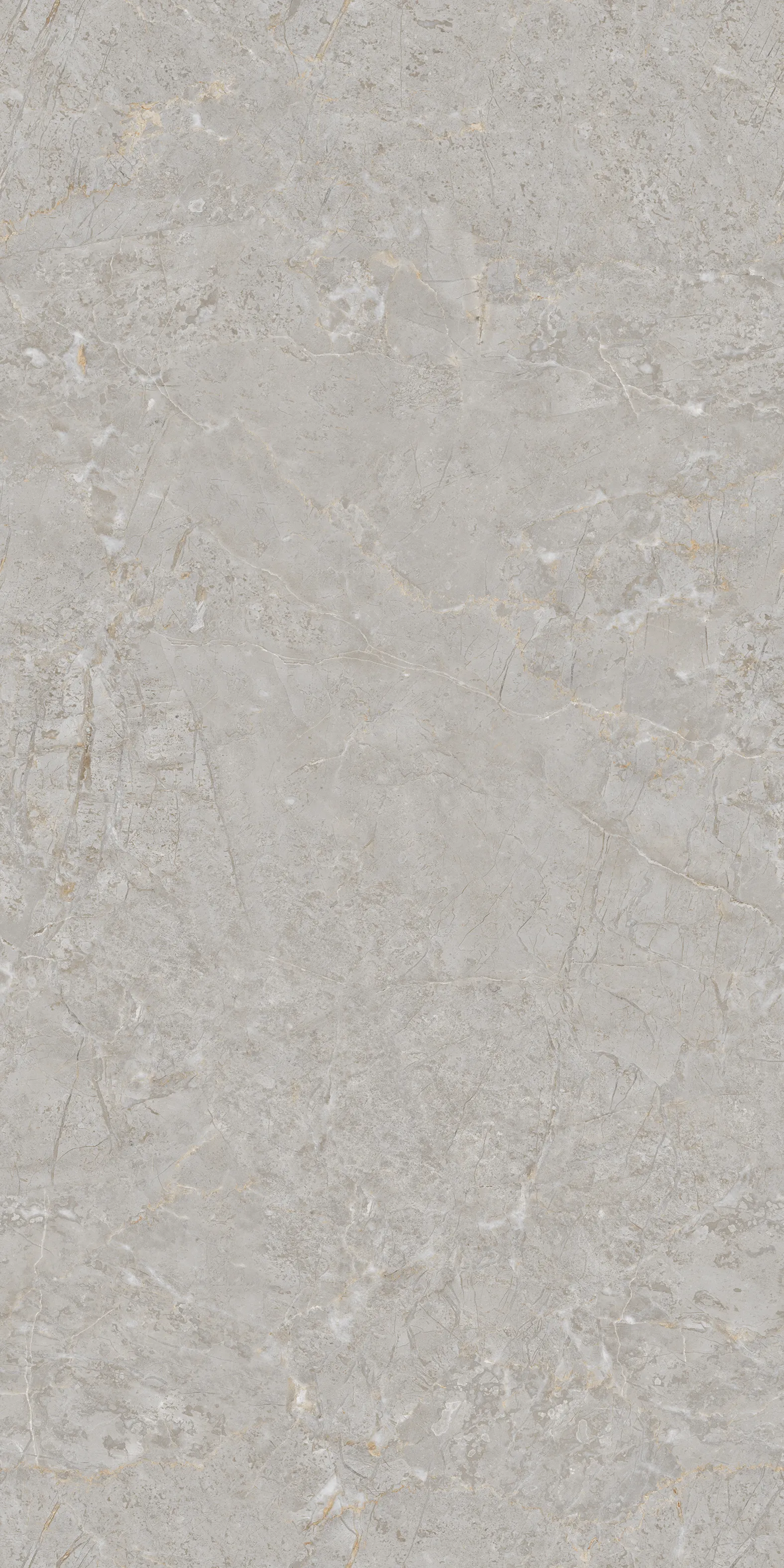 BELVE GREY