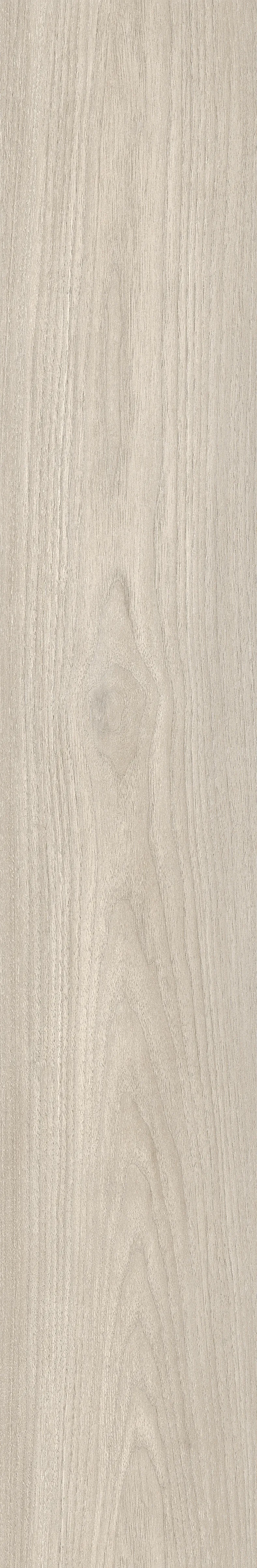 CANARY WOOD SILVER