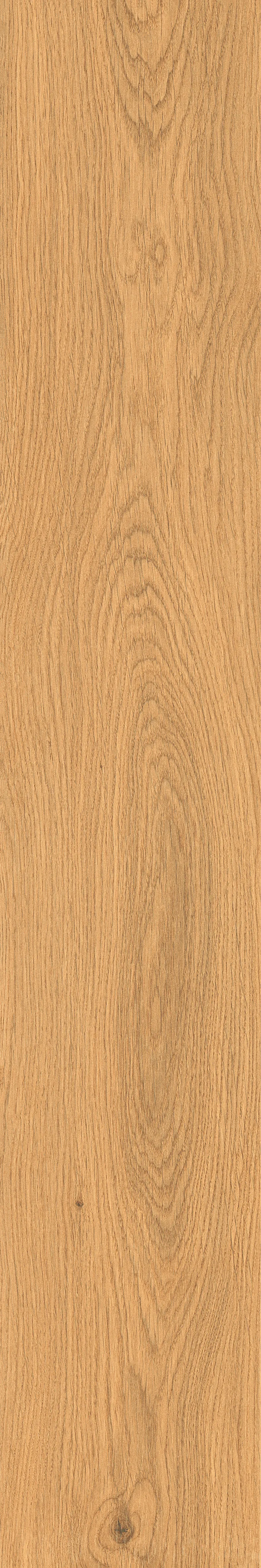 CORSON WOOD OCHRE