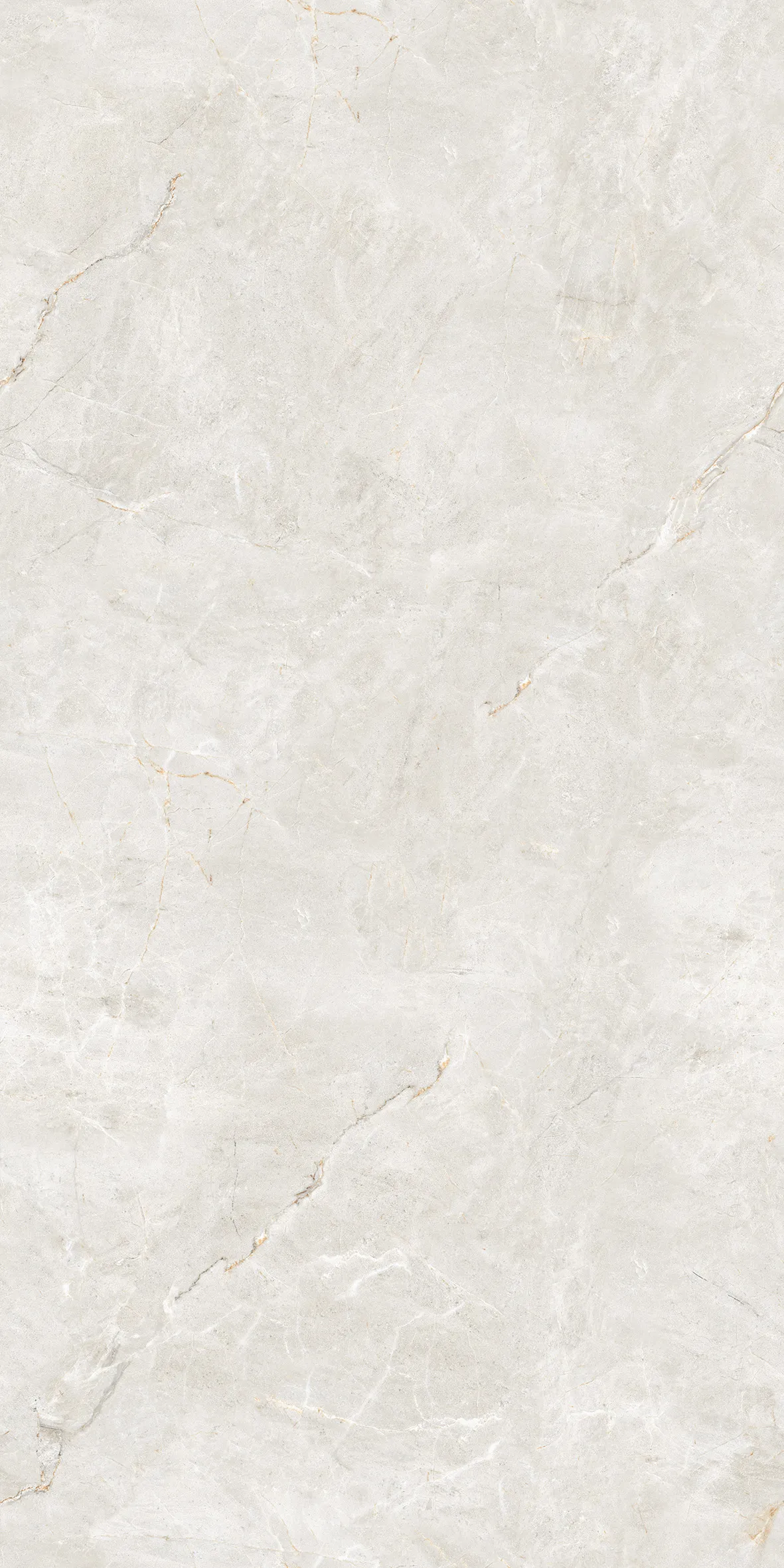 FORESTA BIANCO EVO