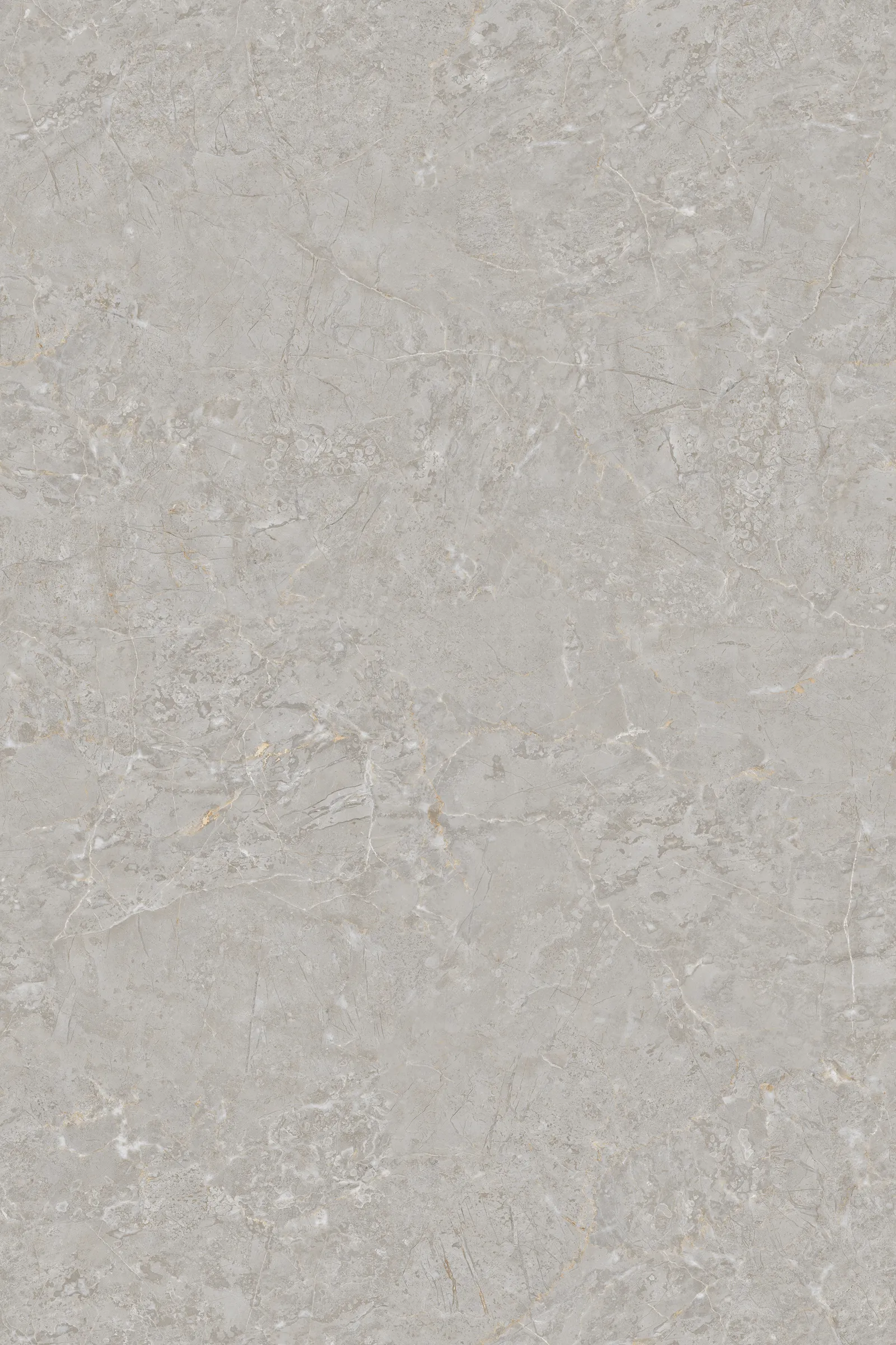 BELVE GREY