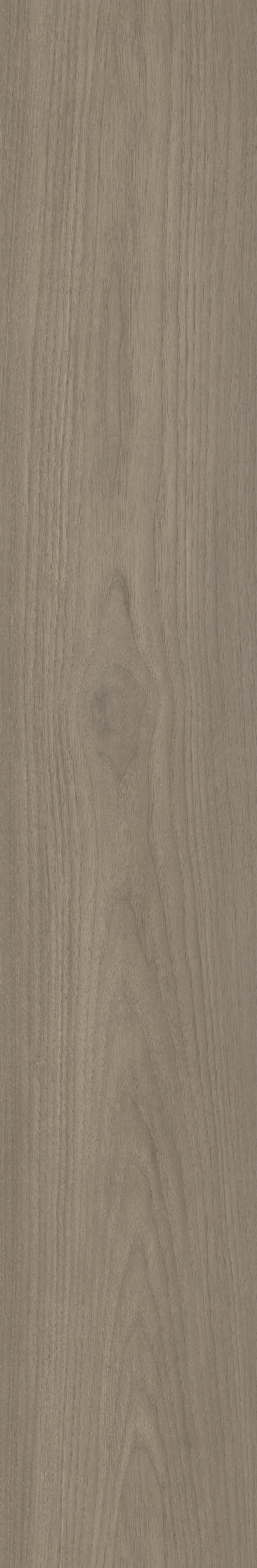 CANARY WOOD FOG