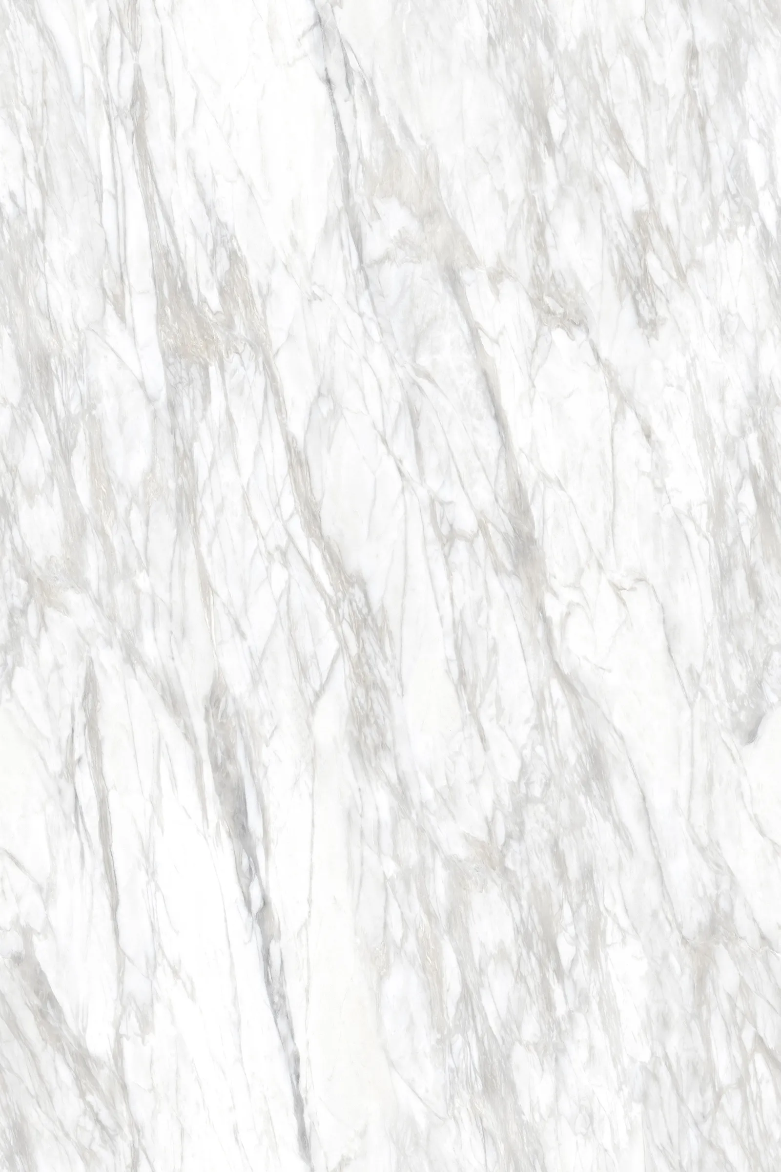 LUCATERRA WHITE LUX