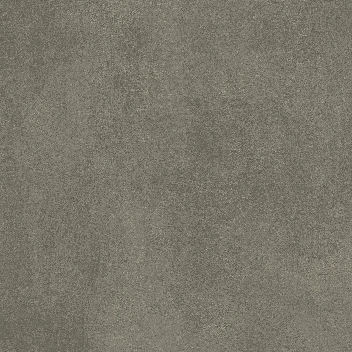 KLEOZ GRIS