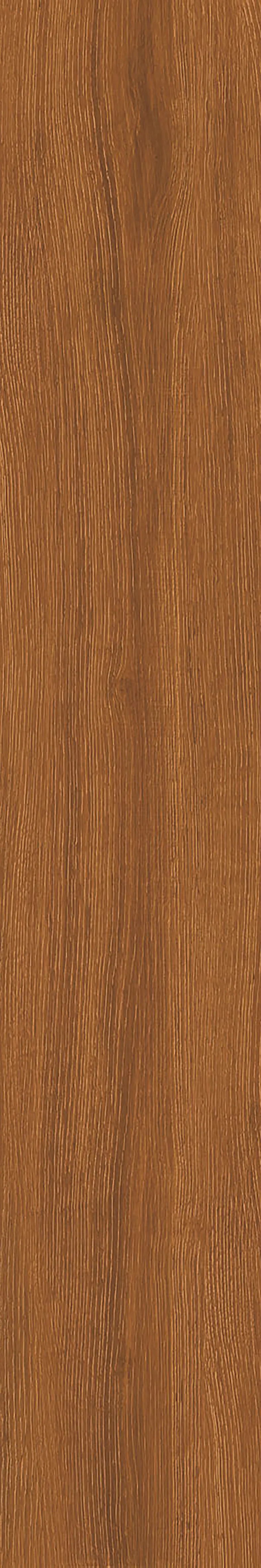 SANDLE WOOD BISTRE