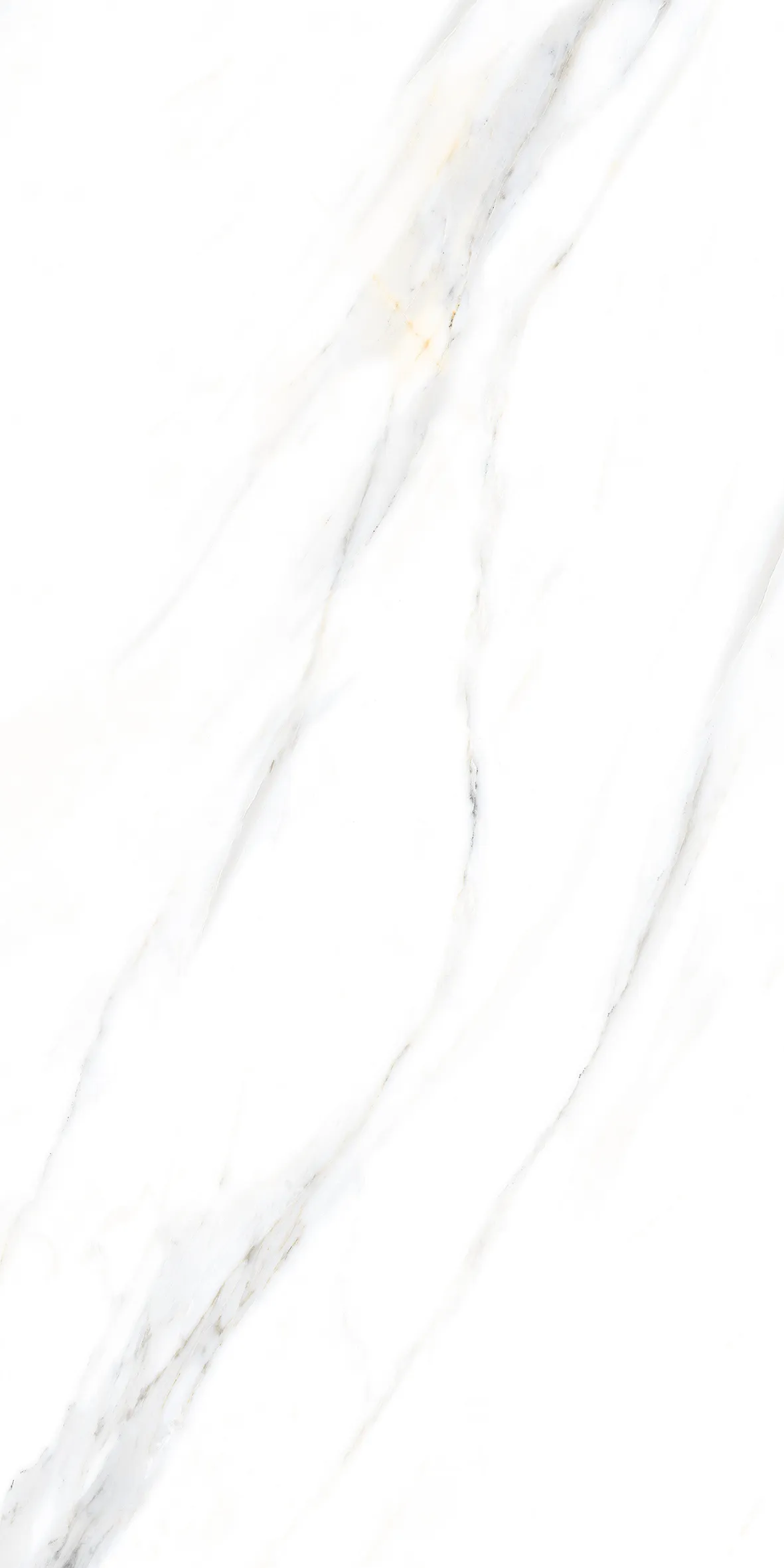 PALIDO WHITE TECH