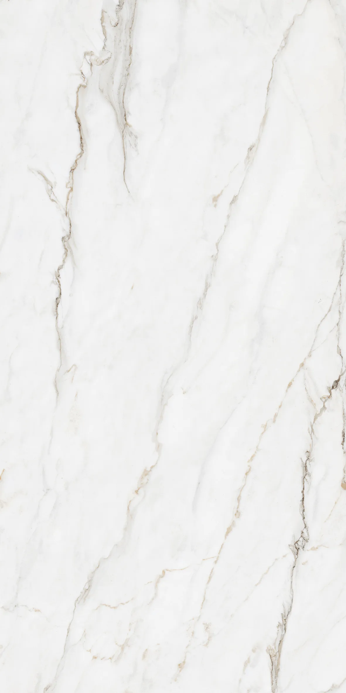 PRISIANO WHITE