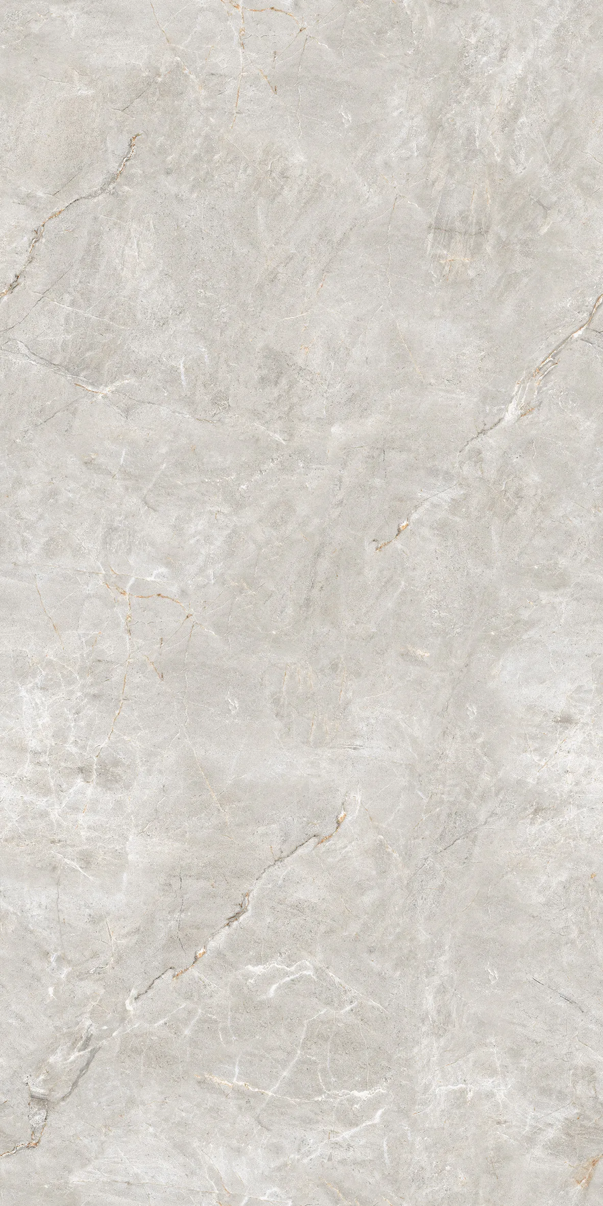 FORESTA GREY EVO