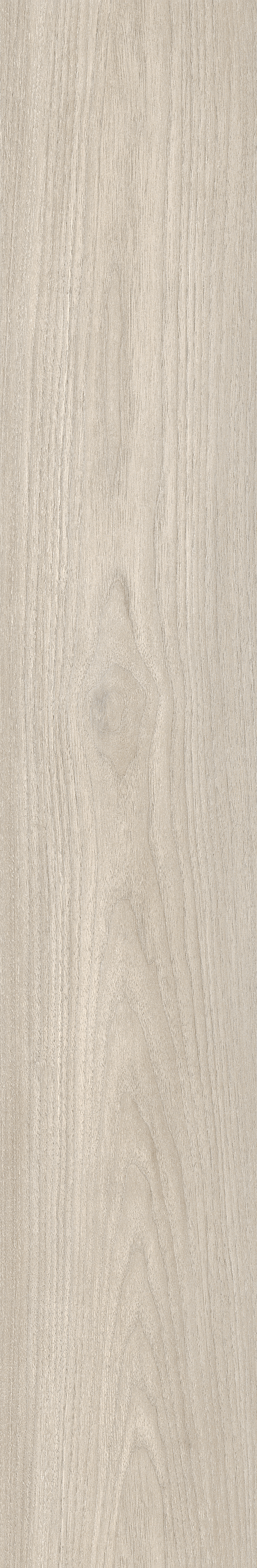 CANARY WOOD SILVER