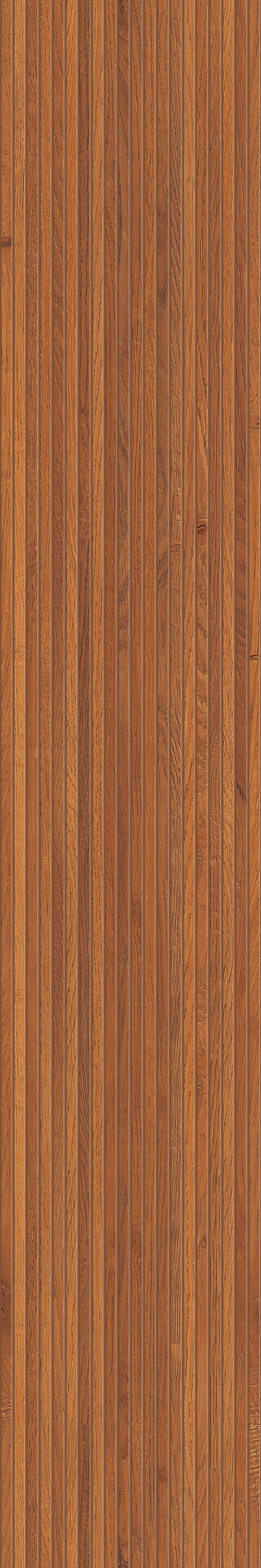 STRIATED WOOD BROWN