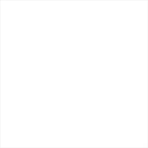 ABSOLUTE WHITE