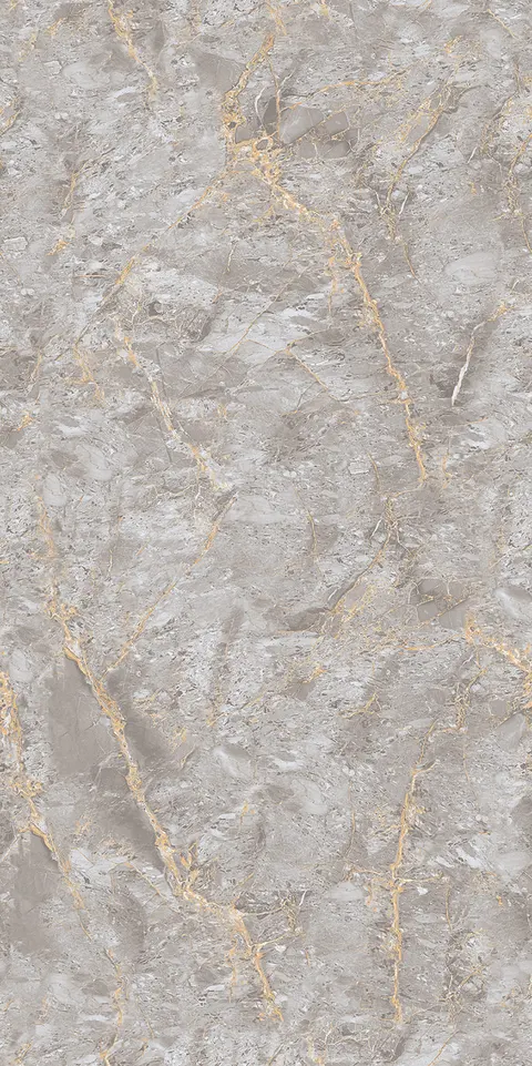 ANILINE GRIS view 4
