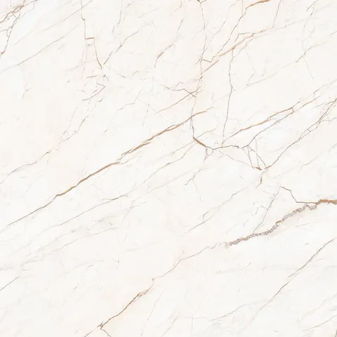 ASTRA view 5