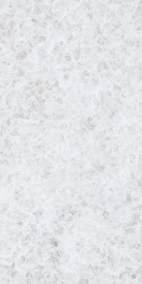 BARBITE PEARL view 5
