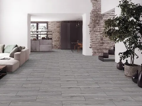 Vivo Gris