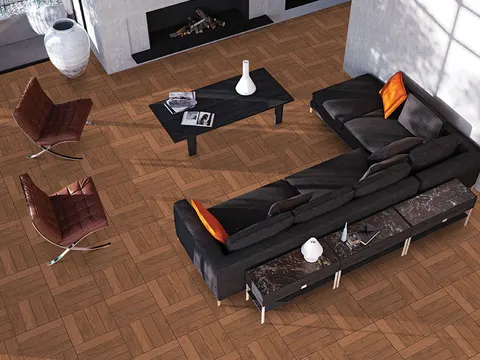 AXIS COTTO view 1