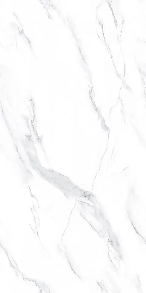 COIF BIANCO view 4