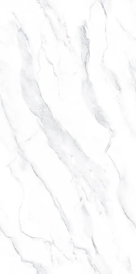 COIF BIANCO view 5