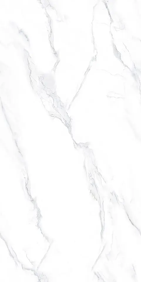 COIF BIANCO view 6