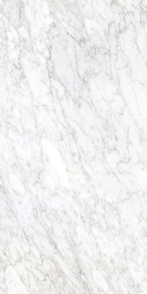 COVER WHITE