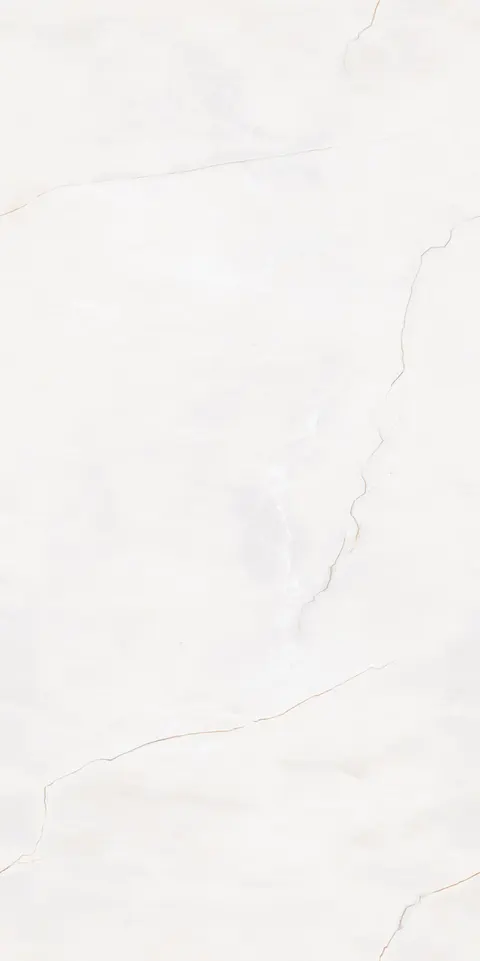DELICATUS BIANCO view 5