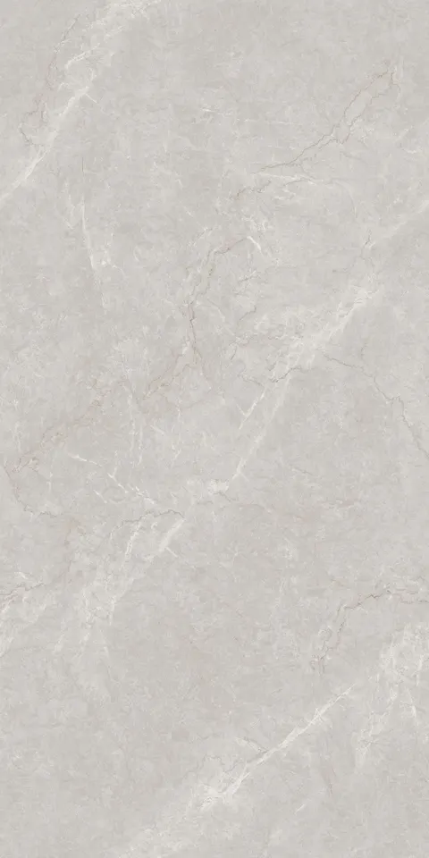 FRENCH BOTTOCHINO GREY view 3