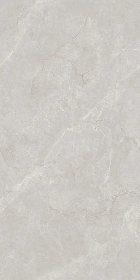 FRENCH BOTTOCHINO GREY view 4