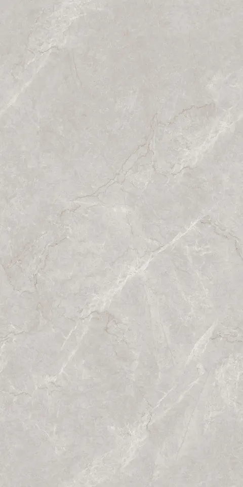 FRENCH BOTTOCHINO GREY view 5