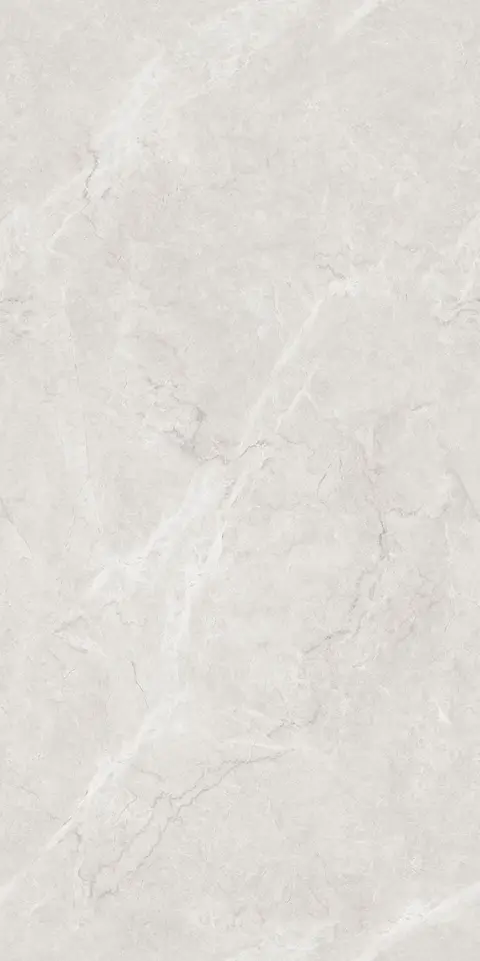 FRENCH BOTTOCHINO GRIS SAP view 2