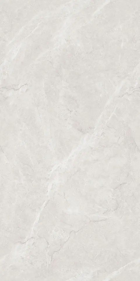 FRENCH BOTTOCHINO GRIS SAP view 3