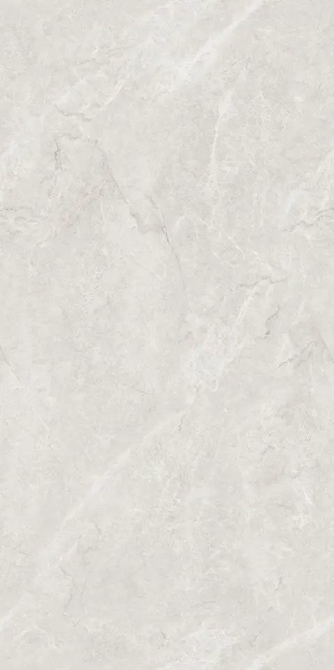 FRENCH BOTTOCHINO GRIS SAP view 4