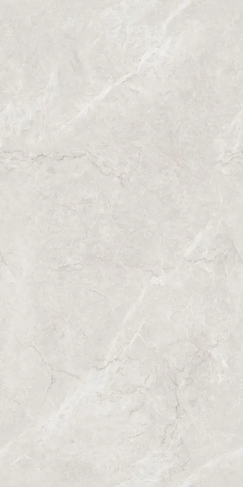 FRENCH BOTTOCHINO GRIS SAP view 5