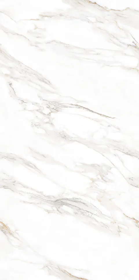 JAYDEN PEARL view 6