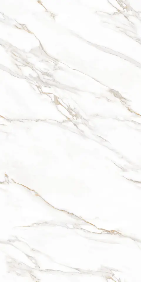 JAYDEN PEARL view 2
