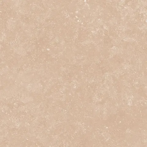 PIERRE BEIGE view 6
