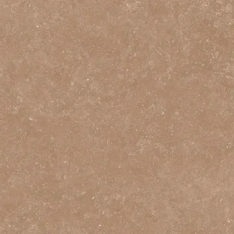 PIERRE BROWN view 3