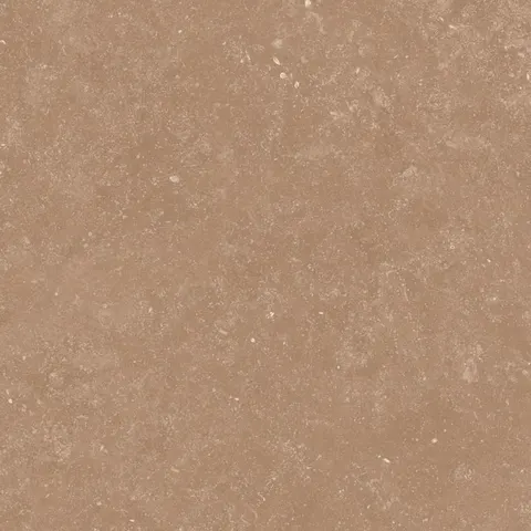 PIERRE BROWN view 6