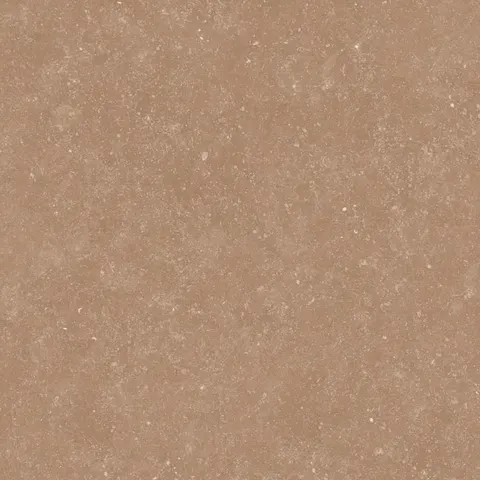 PIERRE BROWN view 7