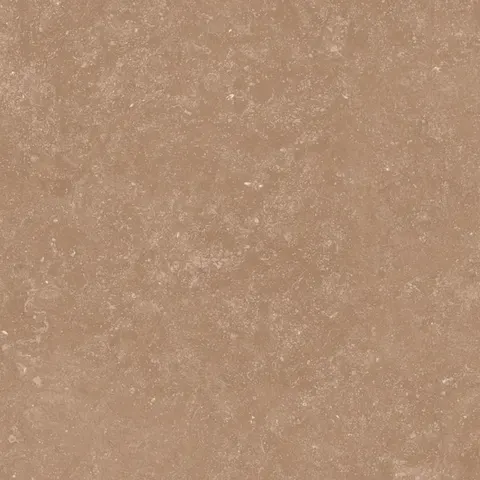 PIERRE BROWN view 8