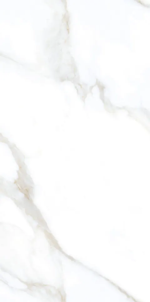 ROCCO WHITE view 3