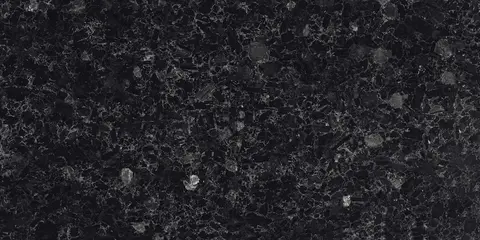 SHELL BLACK view 2