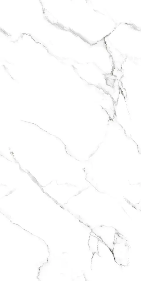 WANTON BIANCO view 4