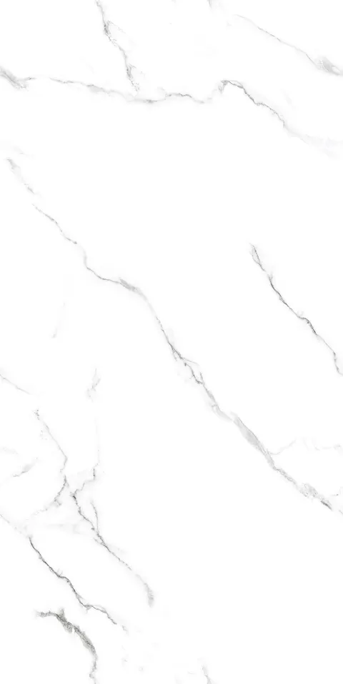 WANTON BIANCO view 6