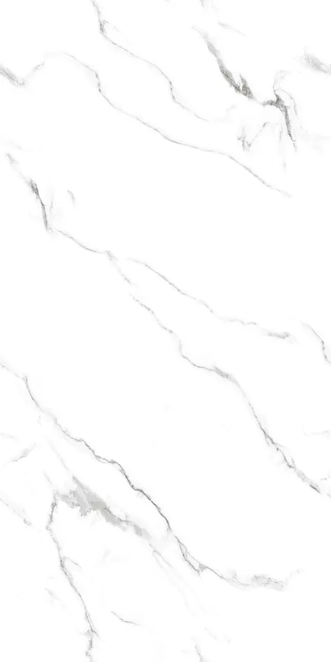 WANTON BIANCO view 8