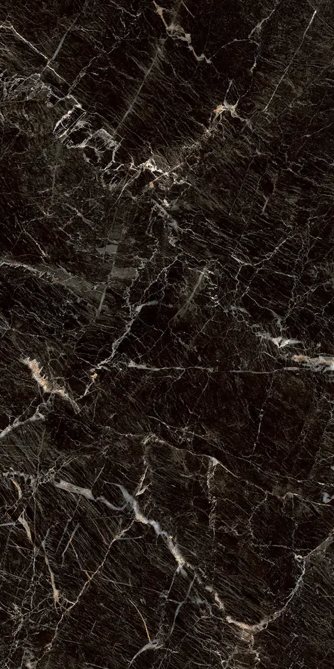 ZEBRANO BLACK view 2