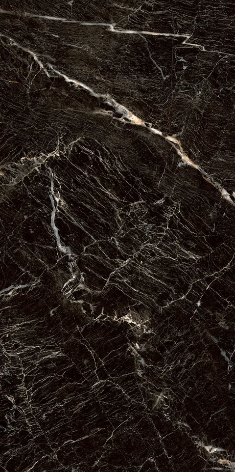 ZEBRANO BLACK view 4